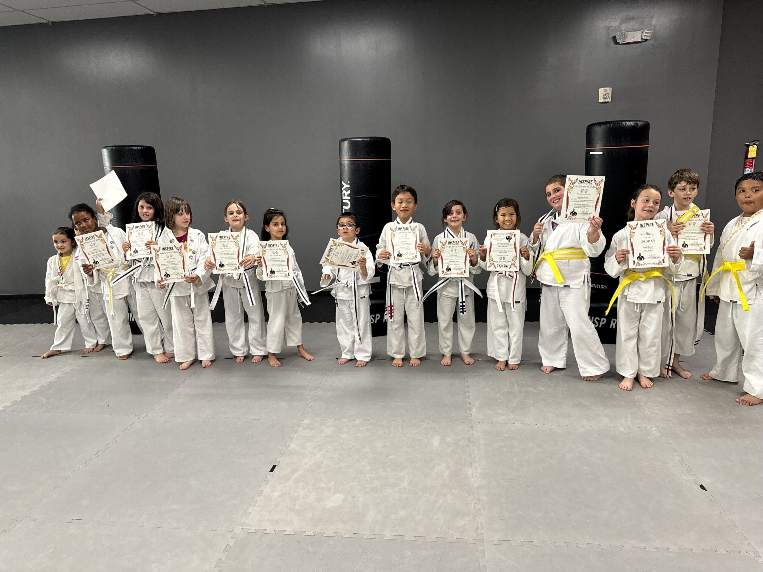 once your child has access to a community of instructors and peers in a martial arts studio, they won't struggle for the rest of their life. styles such as aikido, brazilian jiu jitsu, kung fu, the art of the eight limbs, taekwondo, and even wrestling can have a lasting affect on students and families all around the world